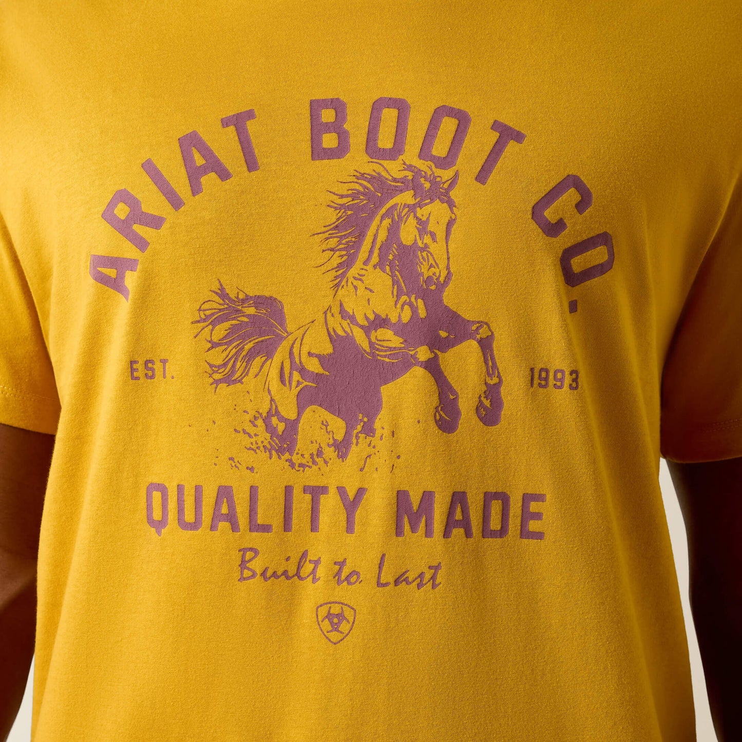 Ariat College Bronc Classic Fit T-Shirt Men | Ariat for sale