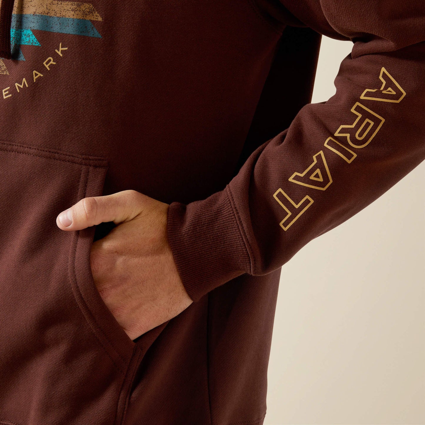 Ariat Carlsbad Canyon Hoodie Men | Ariat online shop