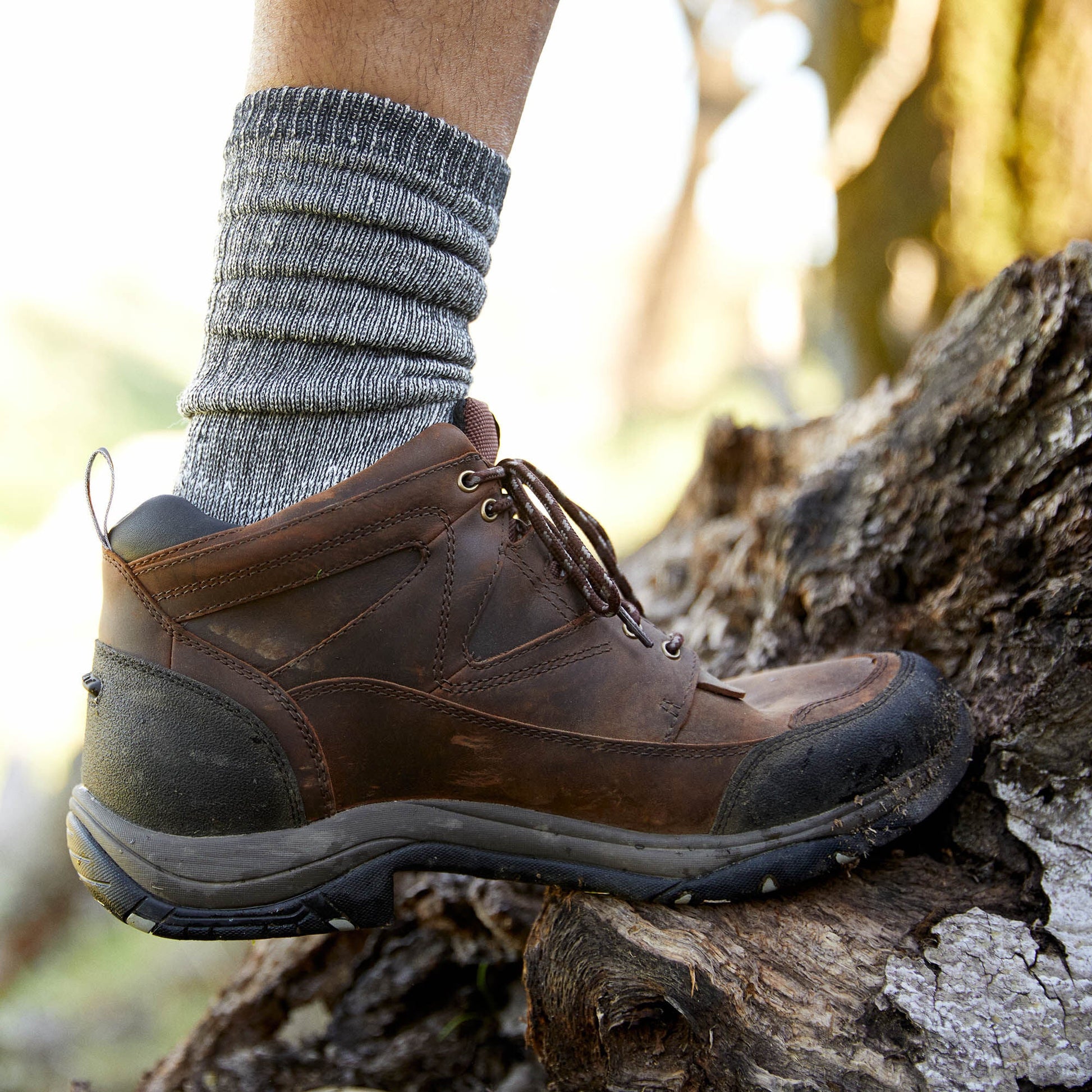 Terrain Waterproof Boot Men | Ariat discount