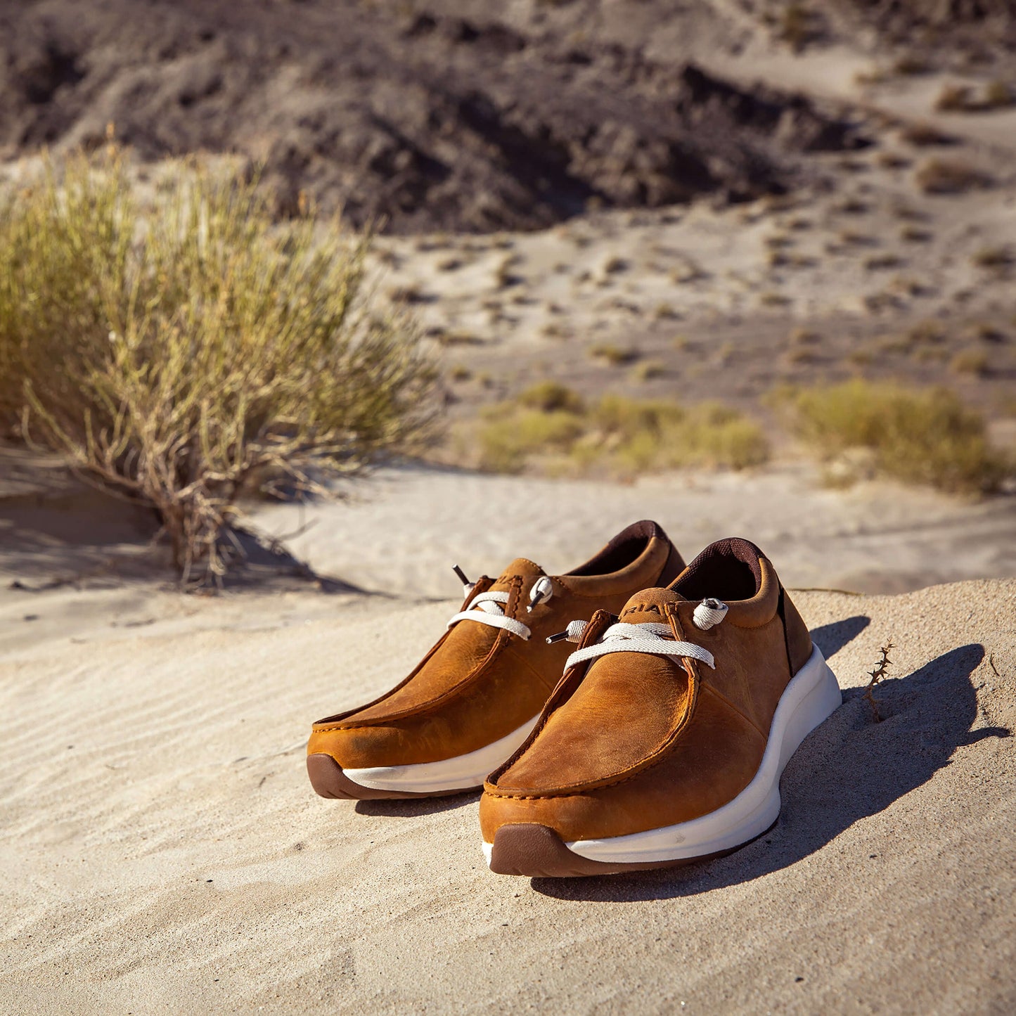 Buckeye Waterproof Shoe Men | Ariat online