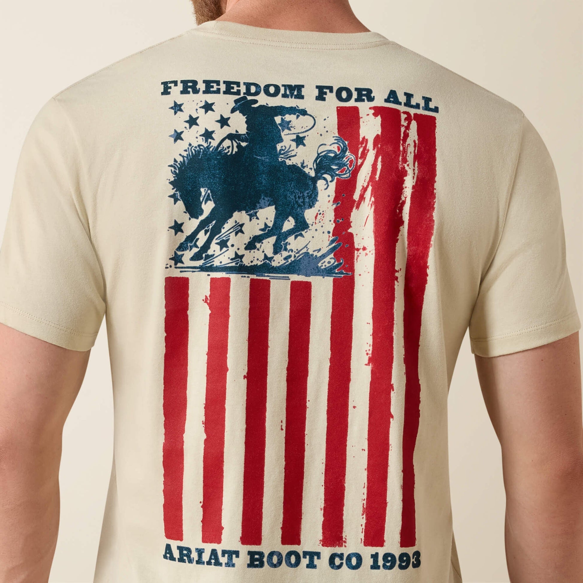 Ariat Split Freedom Painted Classic Fit T-Shirt Men | Ariat online shop
