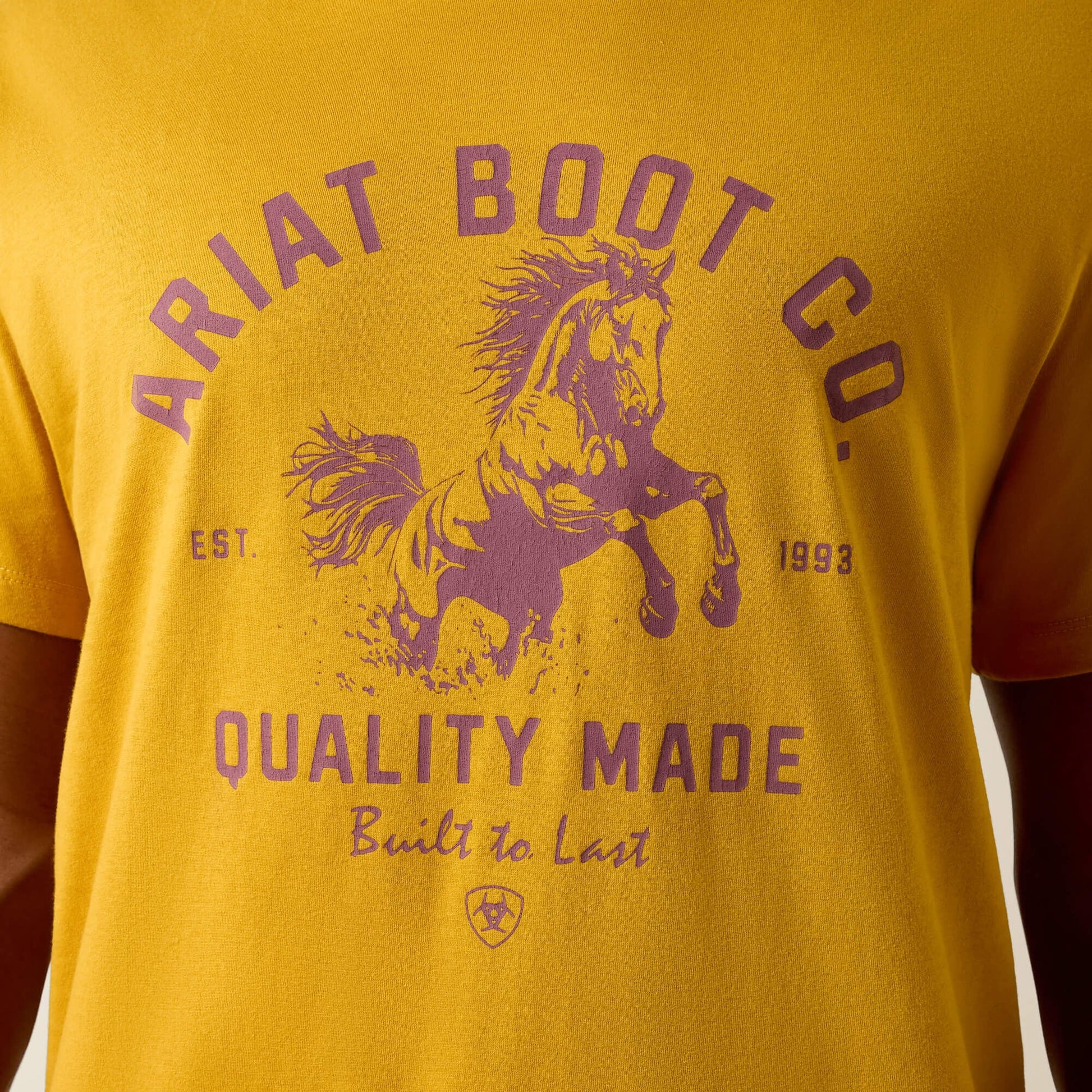 Ariat College Bronc Classic Fit T-Shirt Men | Ariat for sale