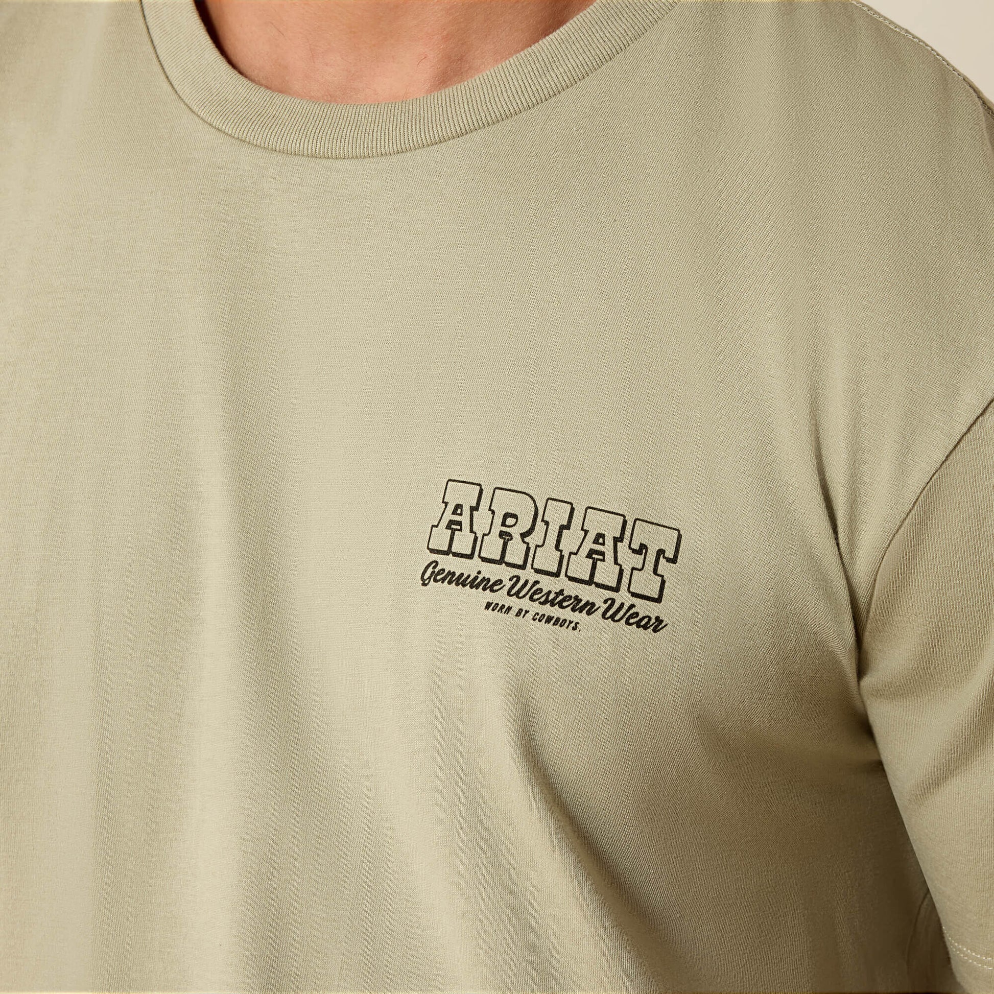 Ariat Porcupine Posse Classic Fit T-Shirt Men | Ariat for sale