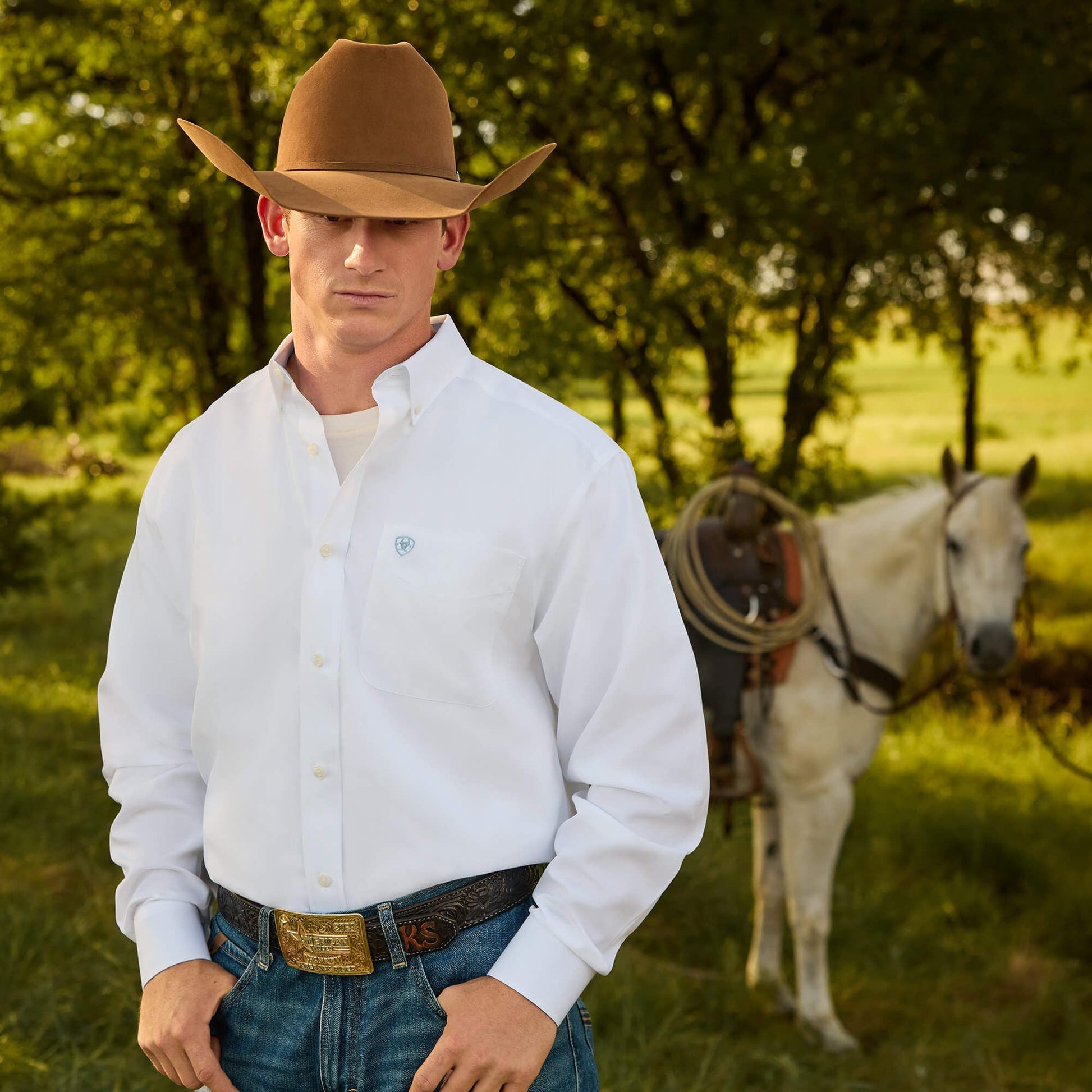 Wrinkle Free Solid Classic Fit Shirt Men | Ariat for sale