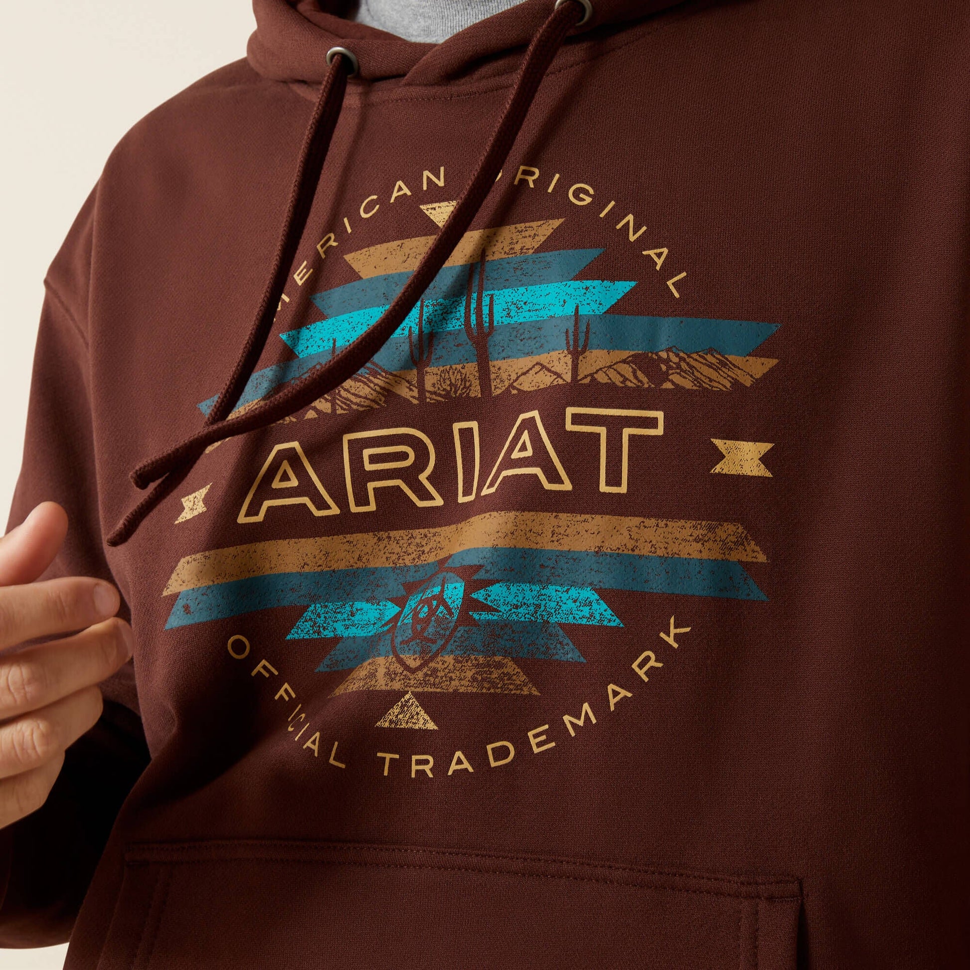 Ariat Carlsbad Canyon Hoodie Men | Ariat online shop