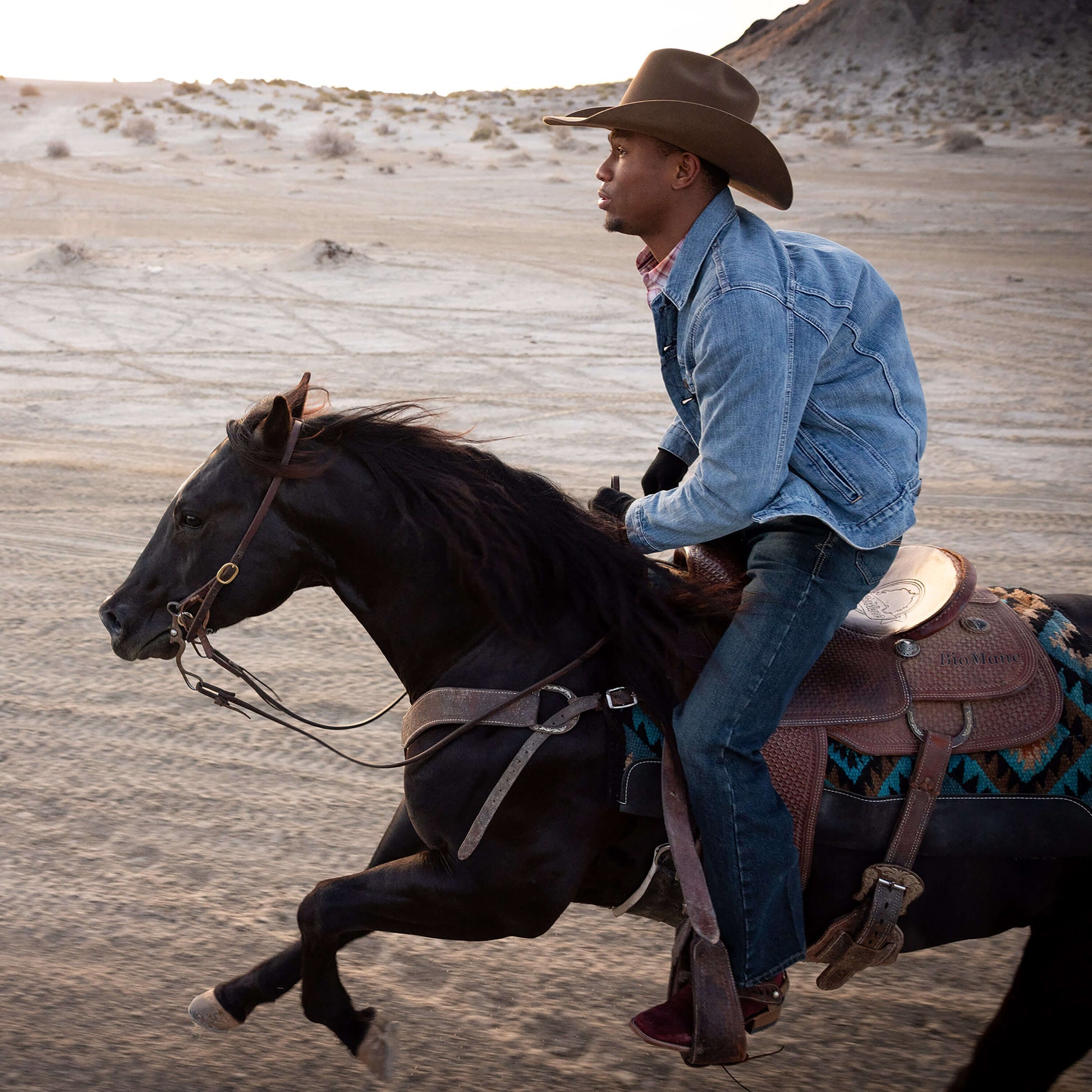 Denim Trucker Jacket Men | Ariat outlet