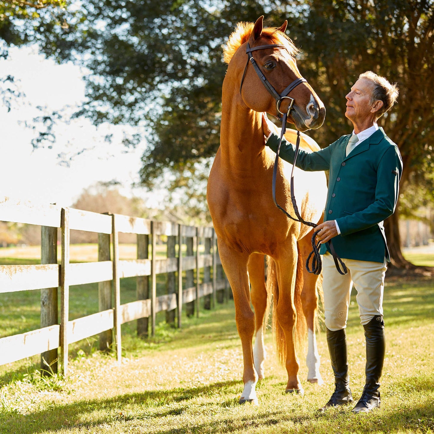 Speranza Knee Patch Breech Men | Ariat outlet