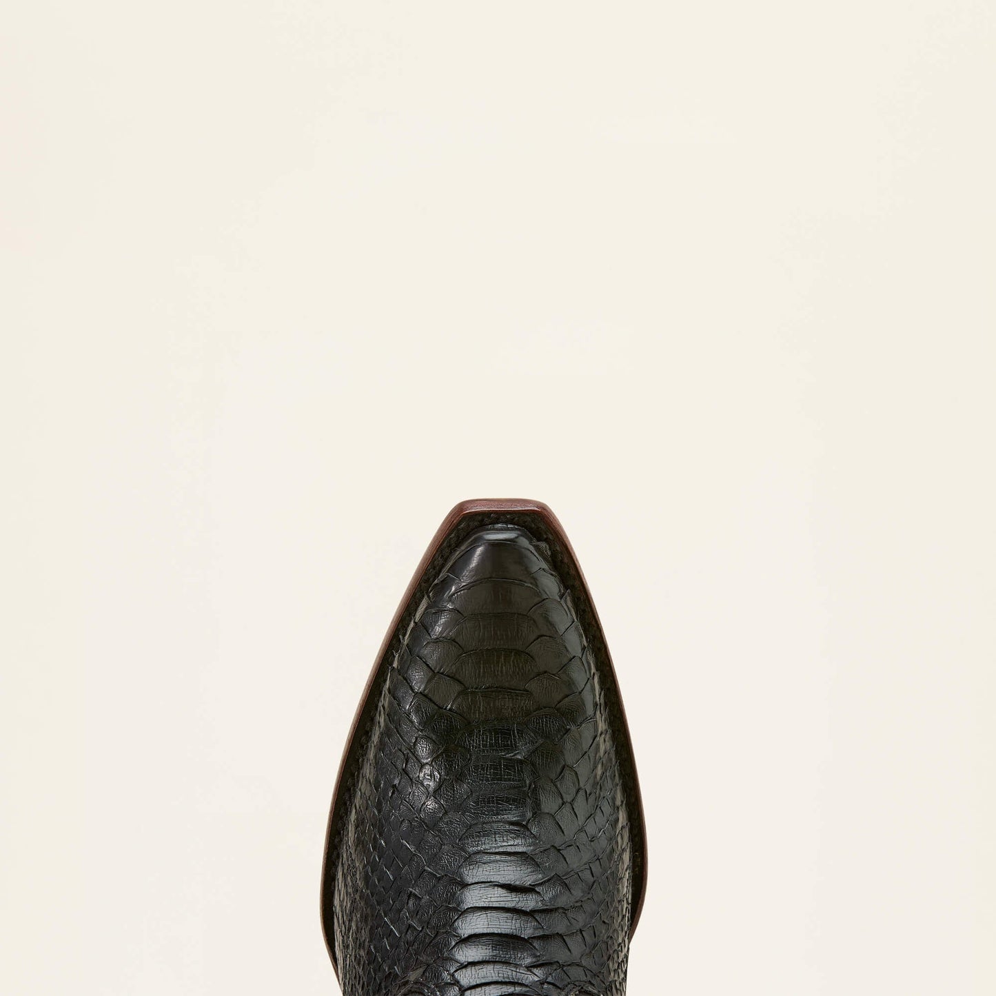 Amora Star X Toe Western Boot Women | Ariat discount