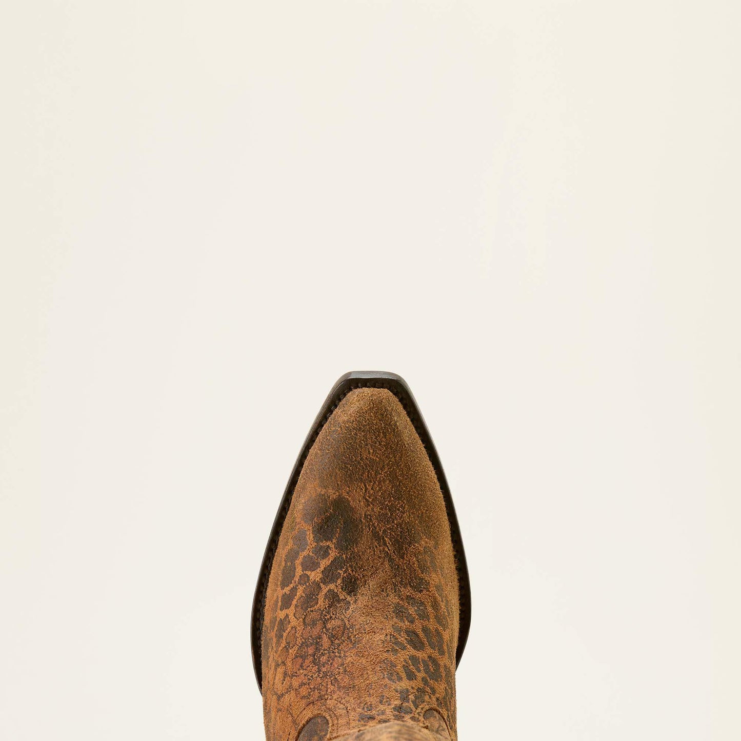 Casanova X Toe Western Boot Women | Ariat online shop