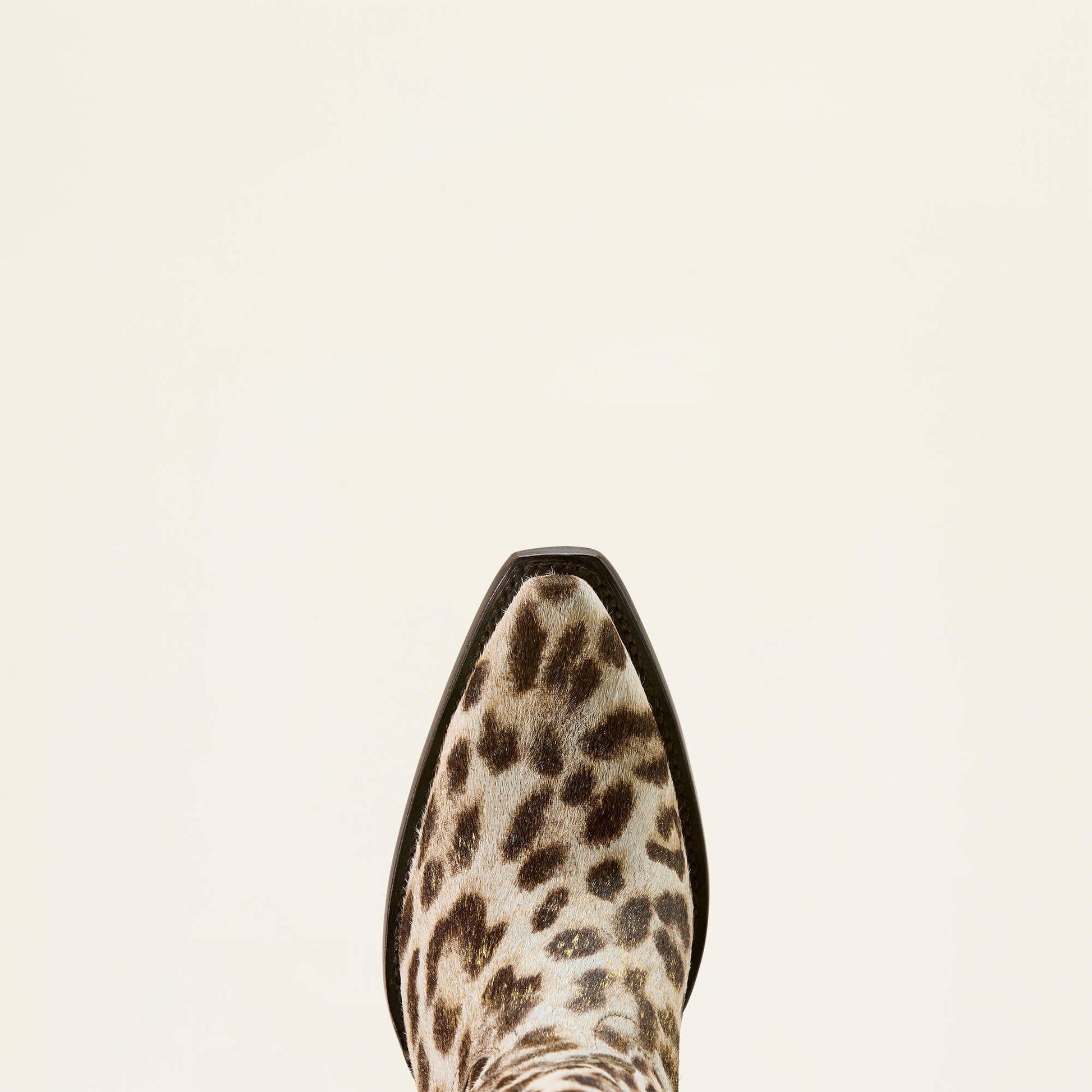 Casanova X Toe Western Boot Women | Ariat online shop