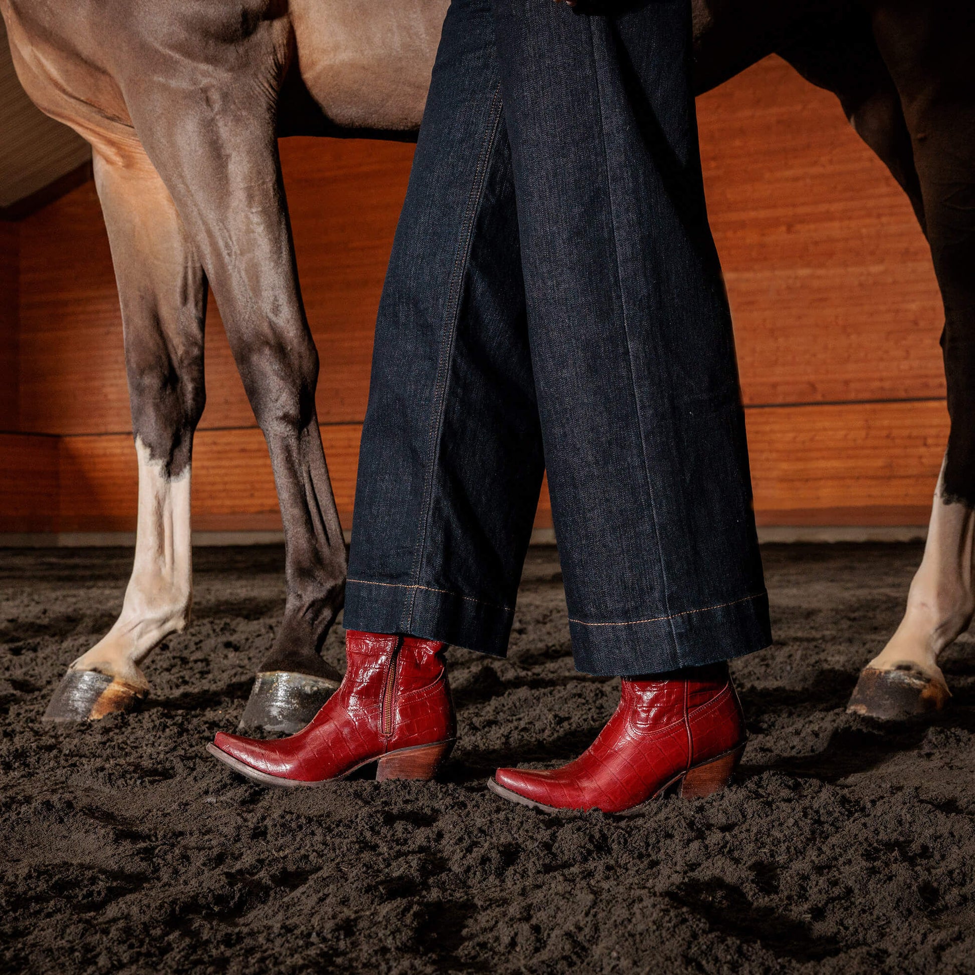 Casanova X Toe Western Boot Women | Ariat on sale