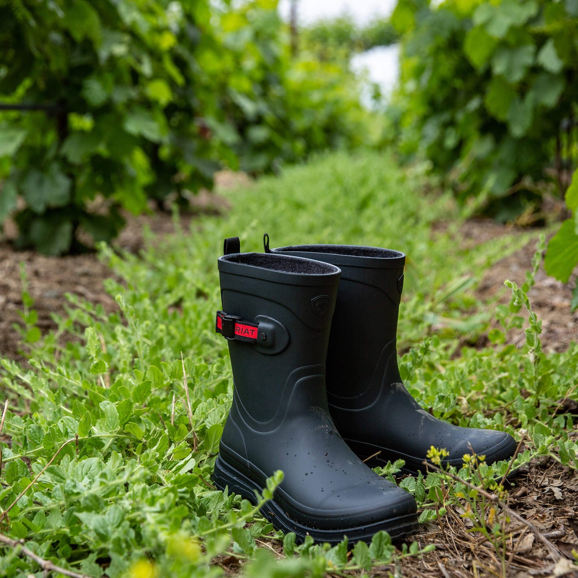 Kelmarsh Mid Rubber Boot Women | Ariat online shop