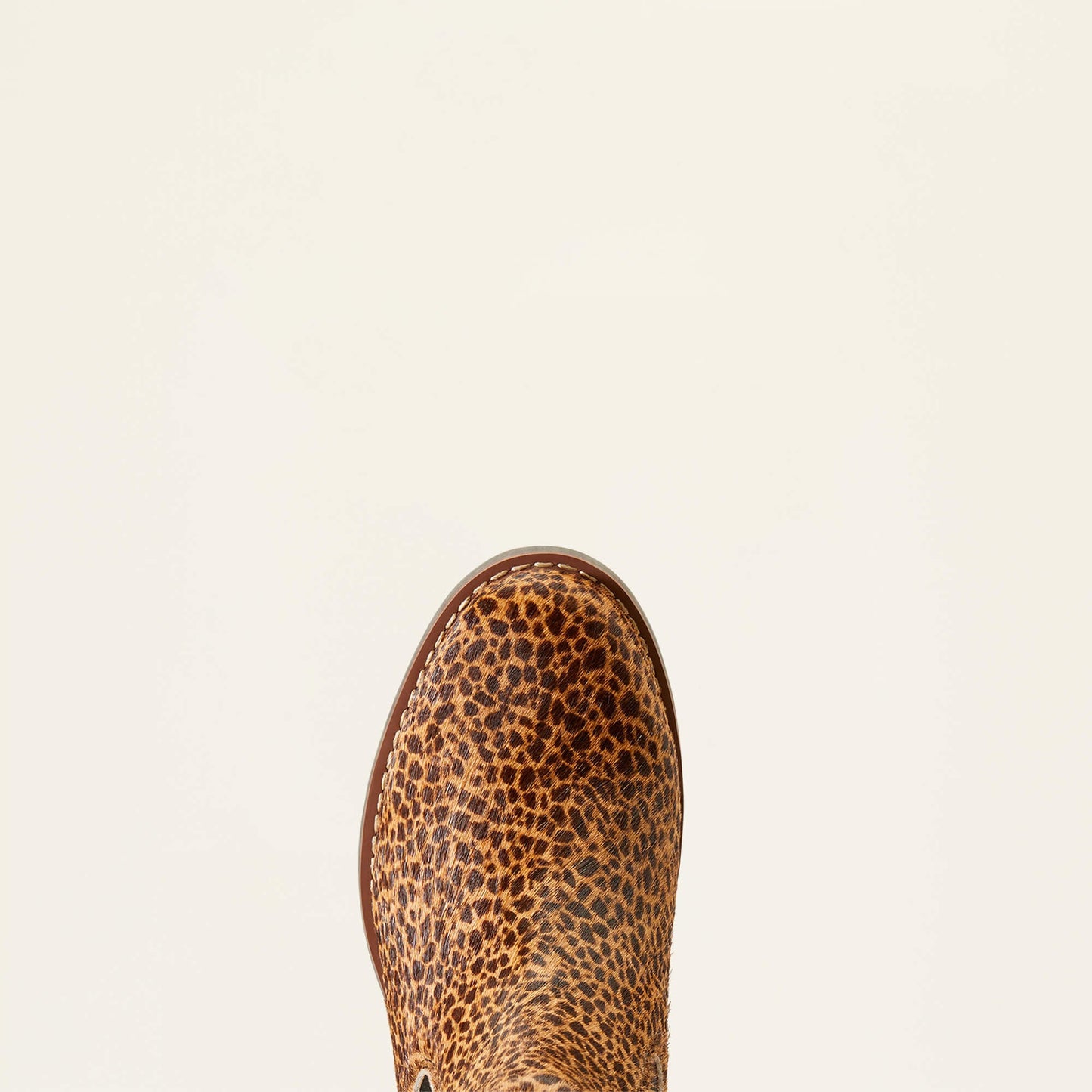 Wexford Chelsea Boot Women | Ariat online