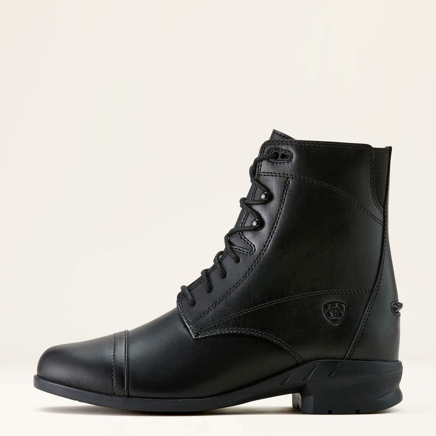 Scout Paddock Boot Women | Ariat online
