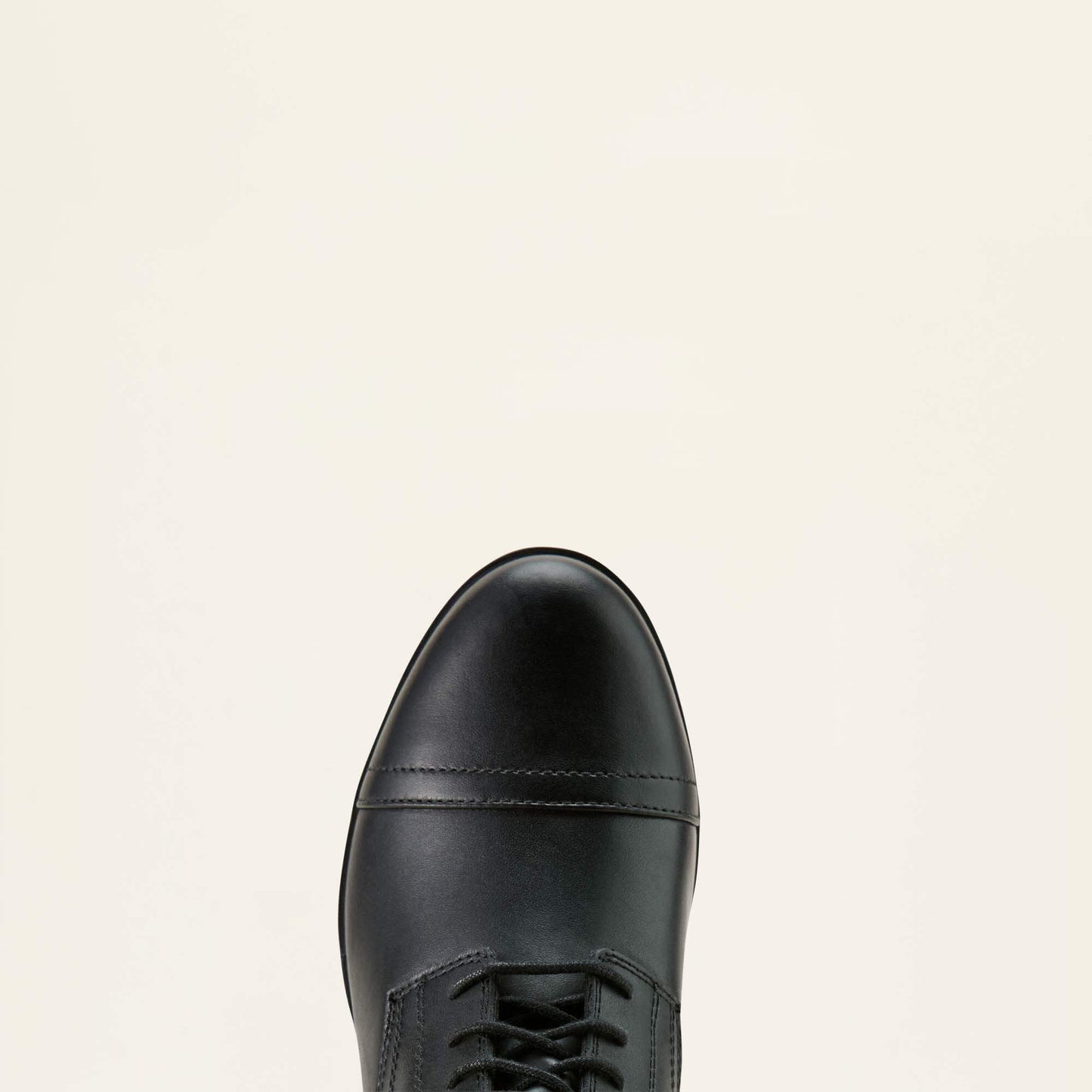 Scout Paddock Boot Women | Ariat online