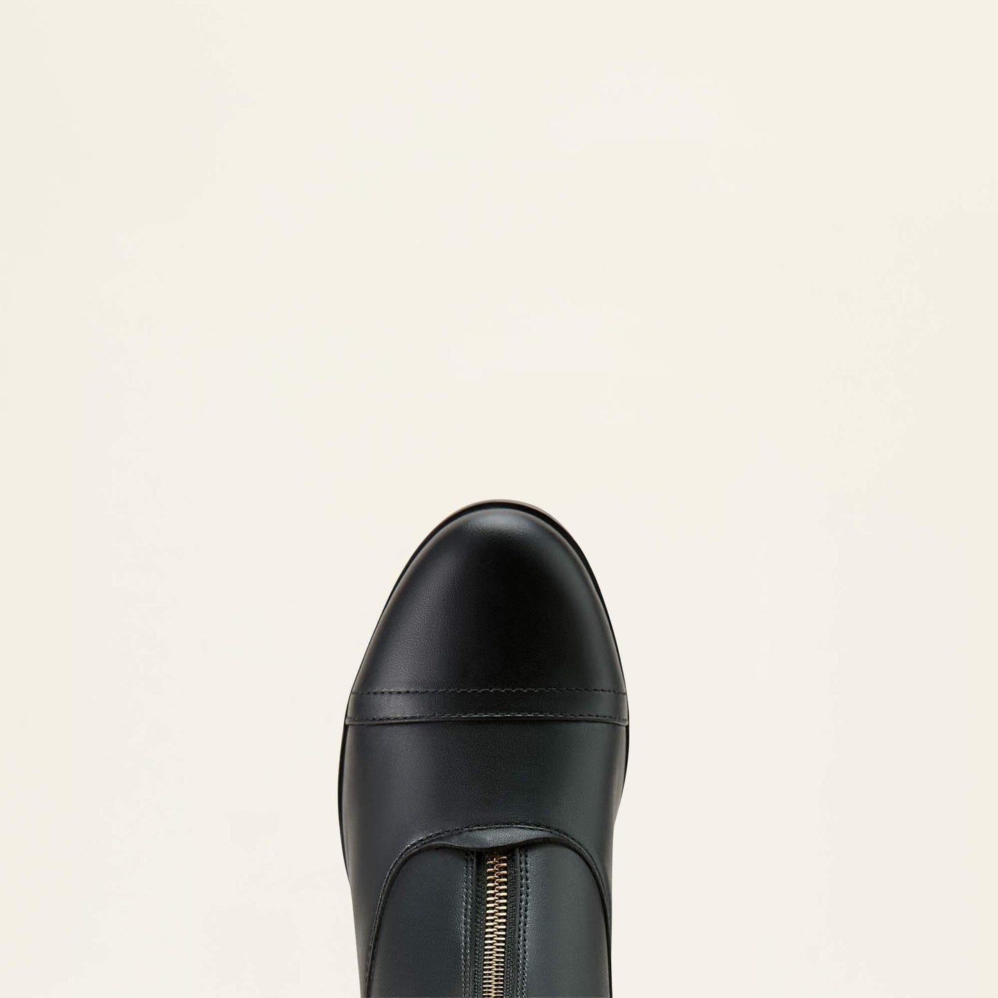 Women's Scout Zip Paddock Boot Women | Ariat on sale