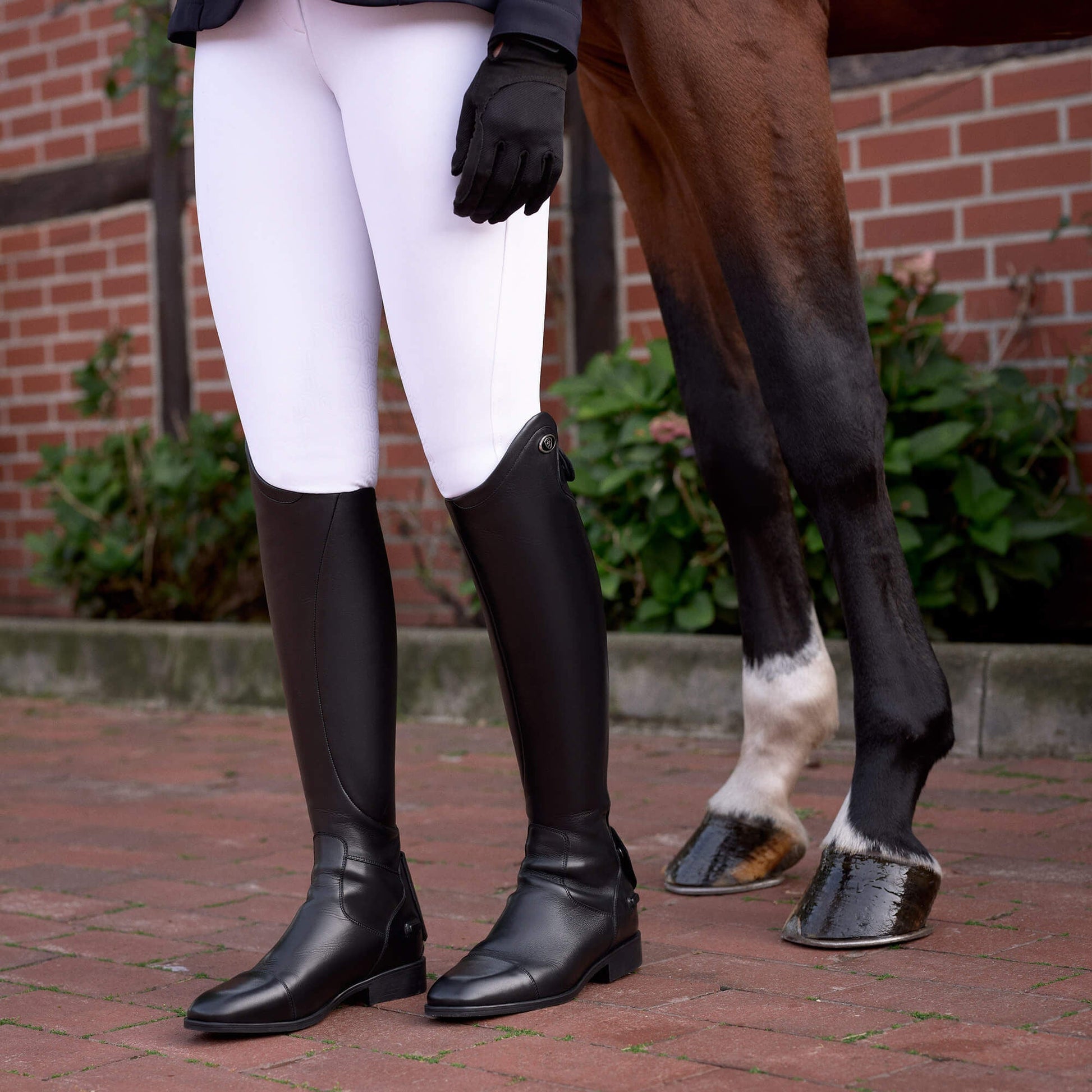 Ravello Dress Tall Riding Boot Women | Ariat online