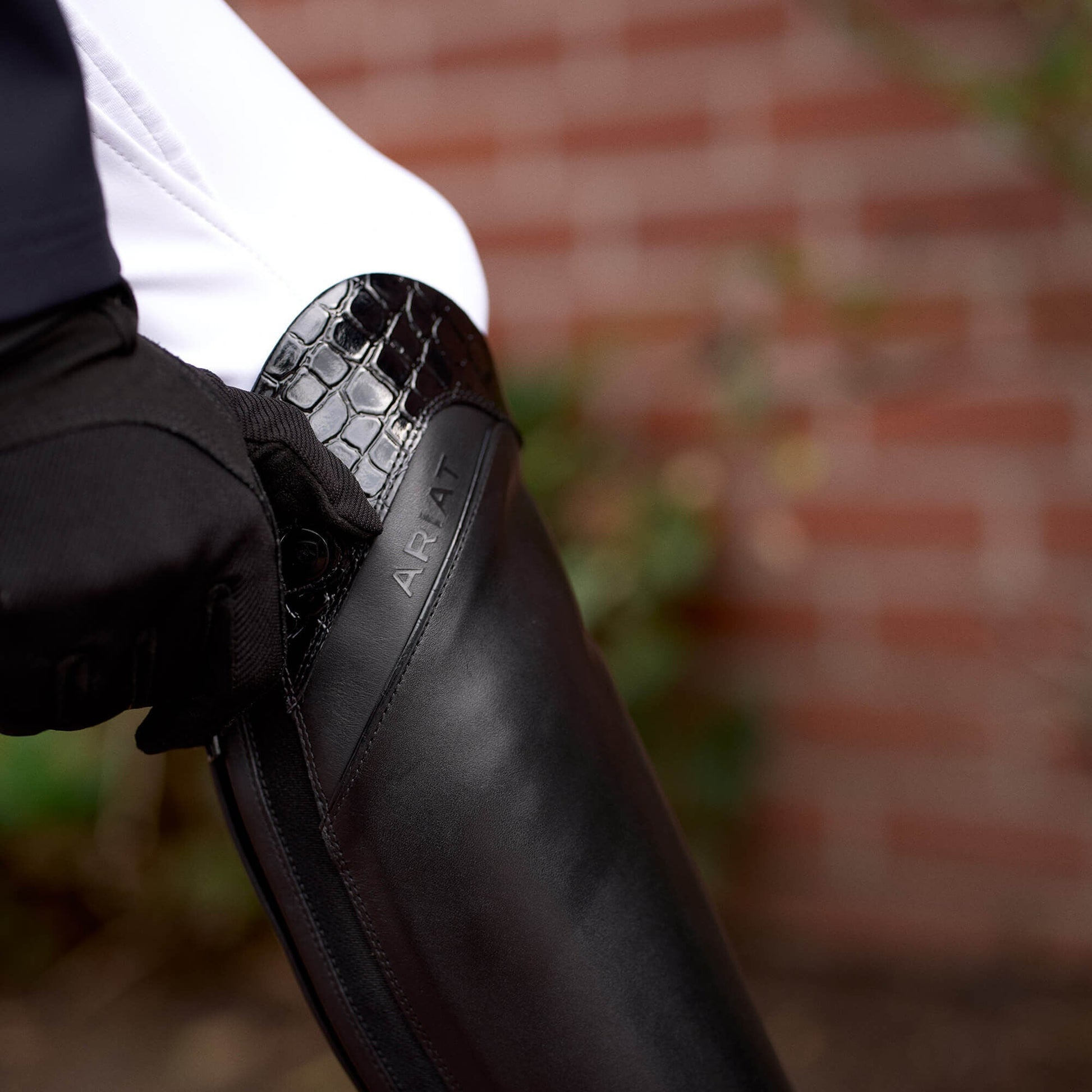 Palisade Show Tall Riding Boot Women | Ariat outlet