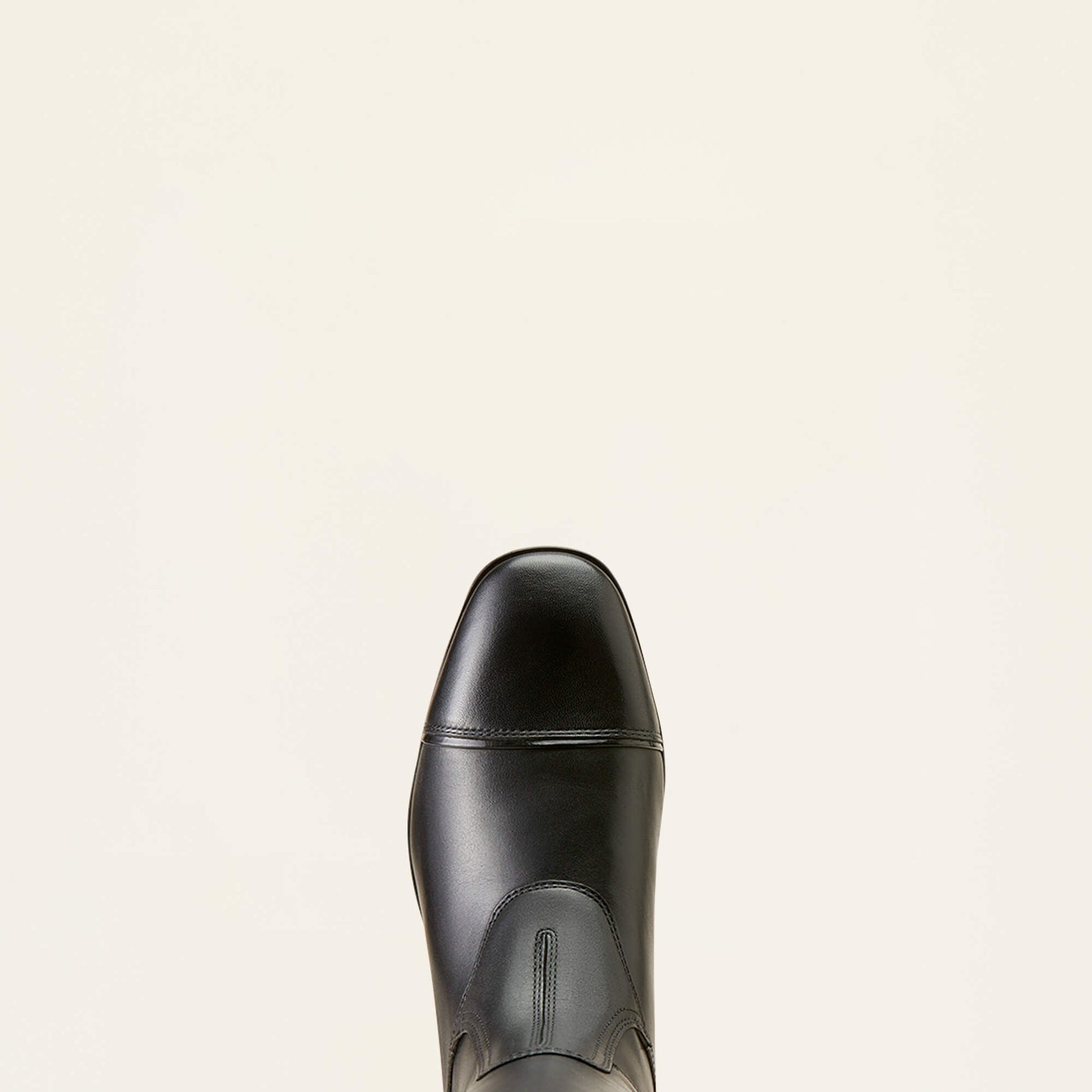 Palisade Show Tall Riding Boot Women | Ariat outlet