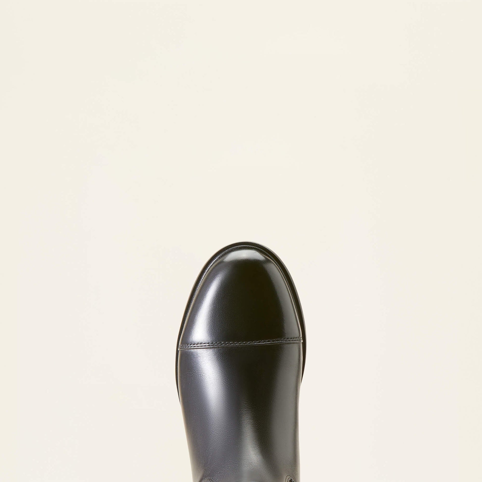 Devon Tall Riding Boot Women | Ariat discount