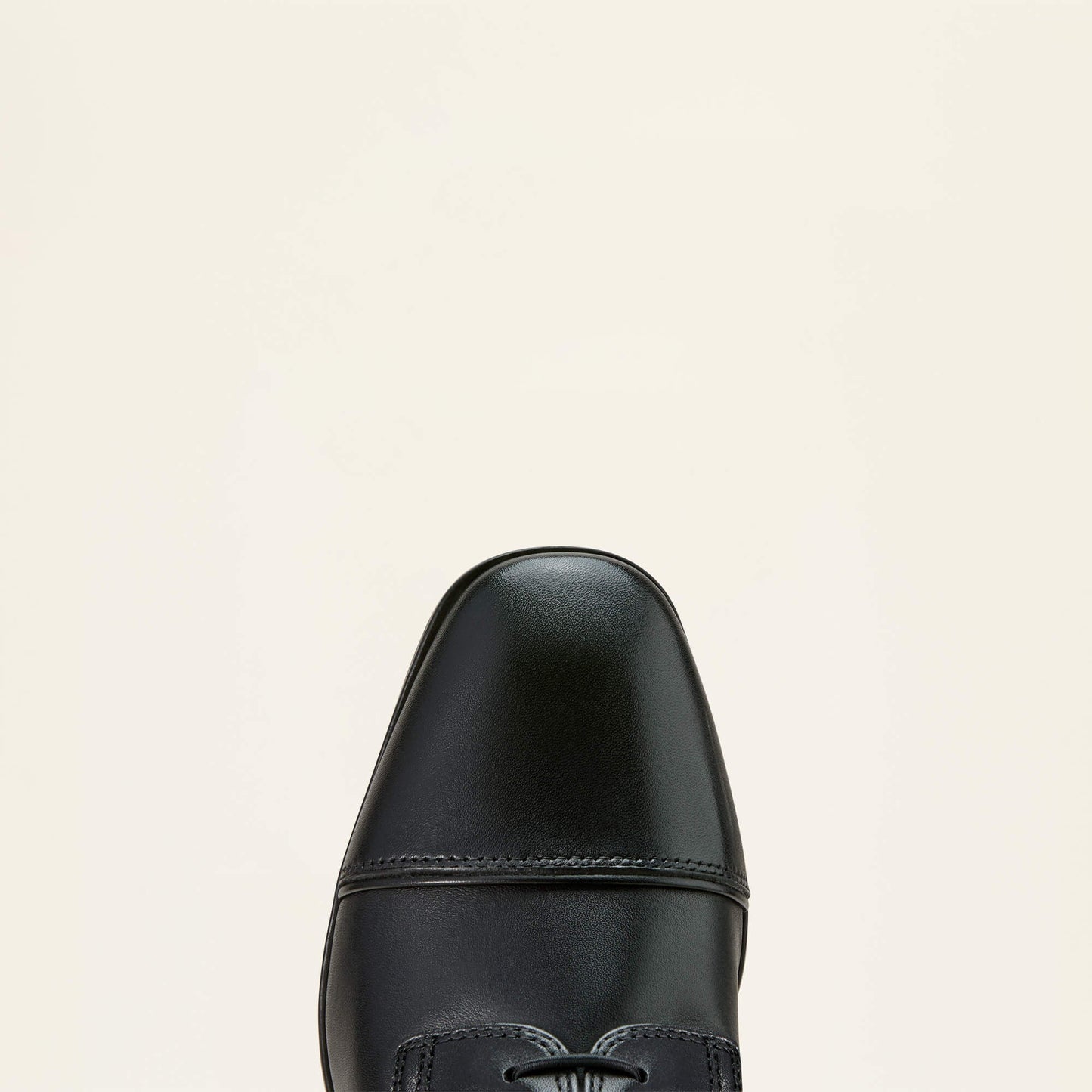 Palisade Lace Tall Riding Boot Women | Ariat outlet