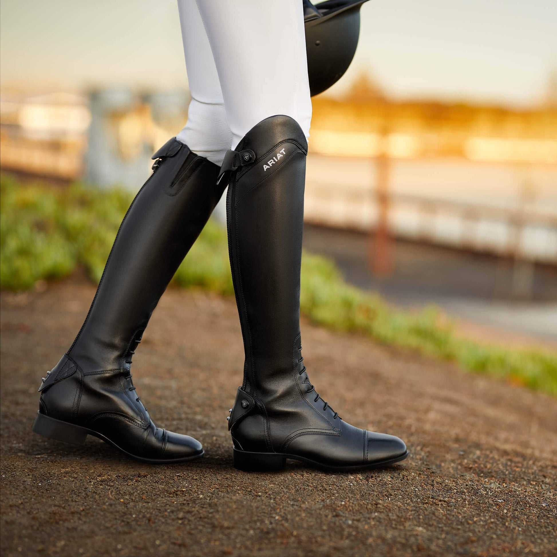 Palisade Tall Riding Boot Women | Ariat online