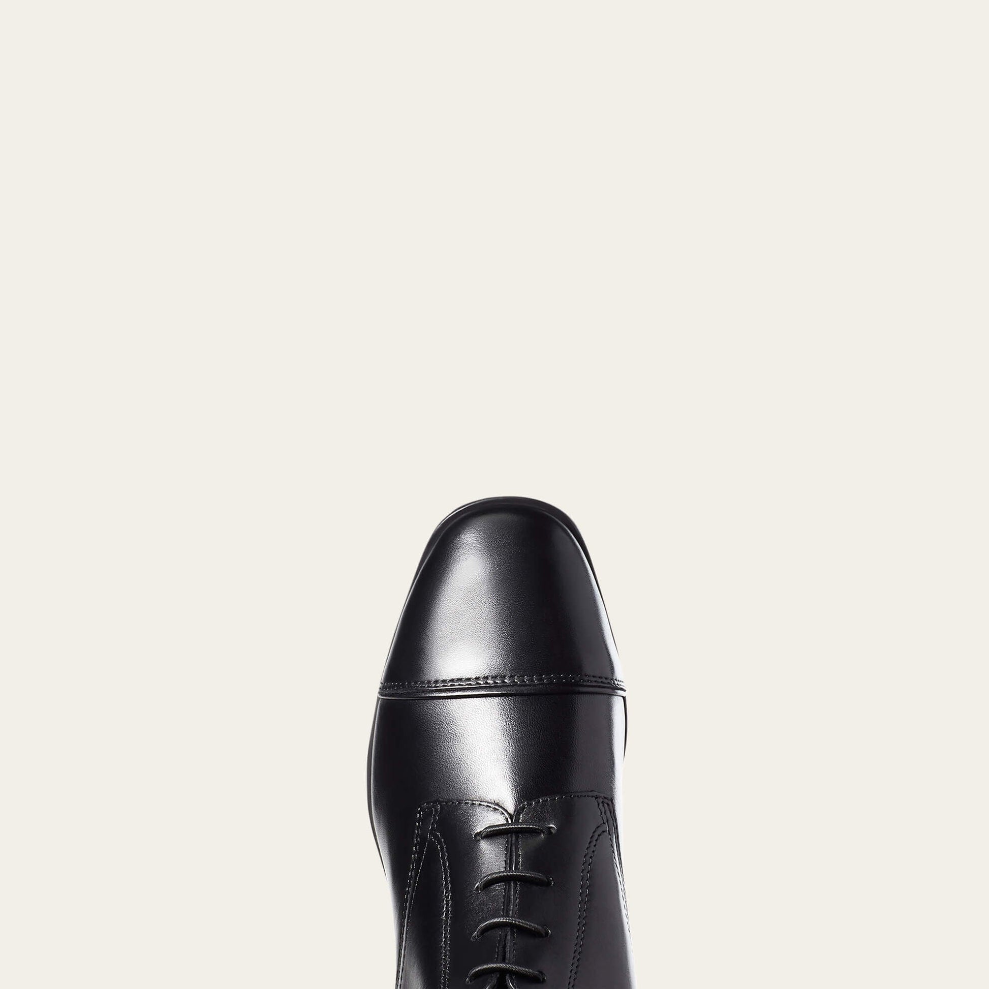 Palisade Tall Riding Boot Women | Ariat online