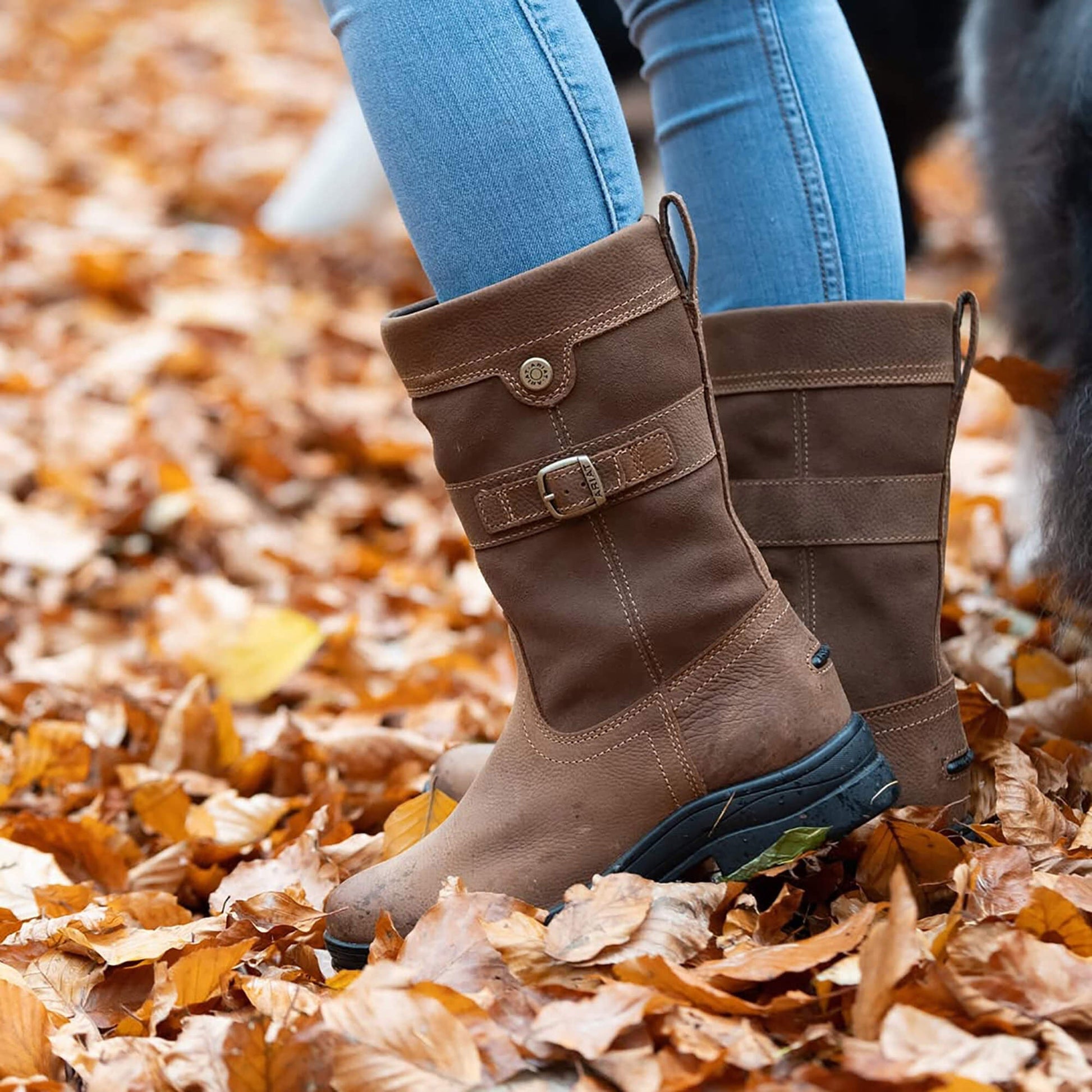 Bampton Waterproof Boot Women | Ariat for sale