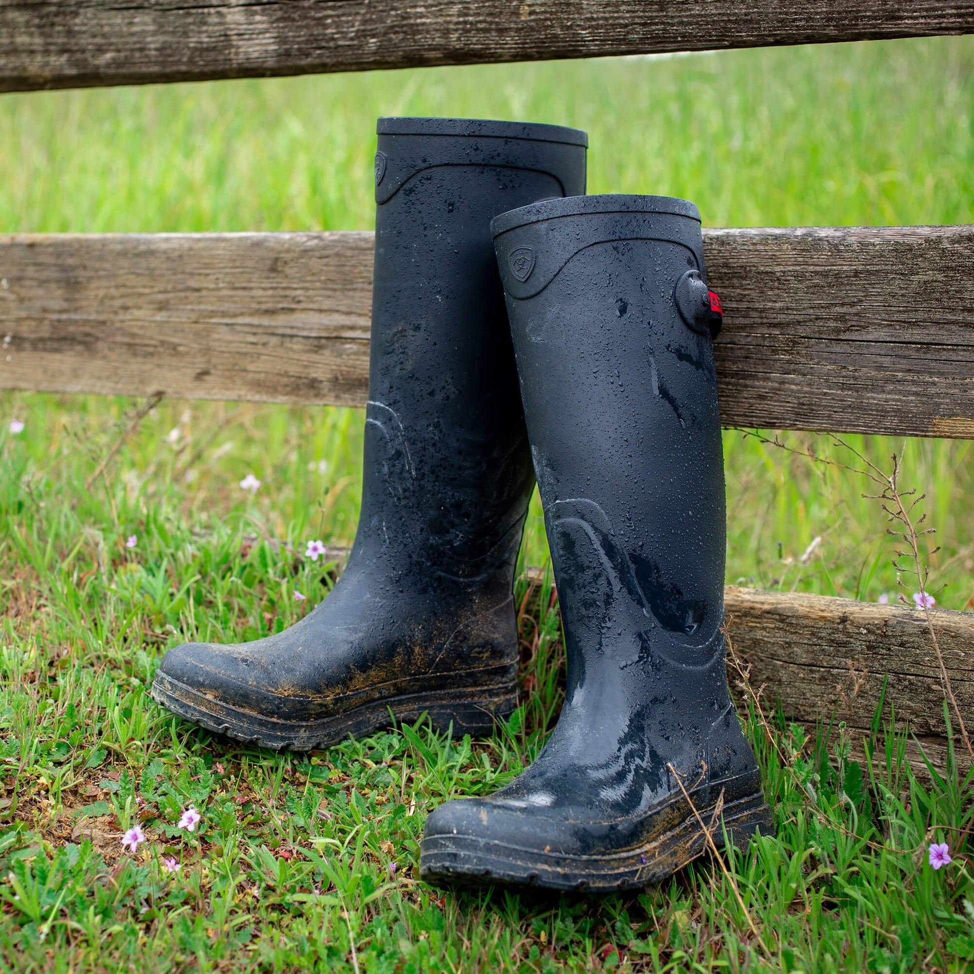 Kelmarsh Rubber Boot Women | Ariat discount