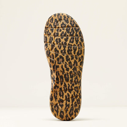 Hilo Rodeo Quincy Women | Ariat online shop
